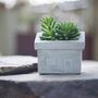 Cement House Shaped Planter With Choice Of Plants, thumbnail 1 of 4