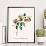 Vintage Style Botanical Burger Print, thumbnail 2 of 10