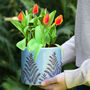 Botanical Fern Ceramic Plant Pots, thumbnail 4 of 8