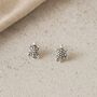 Sterling Silver Turtle Stud Earrings, thumbnail 2 of 3