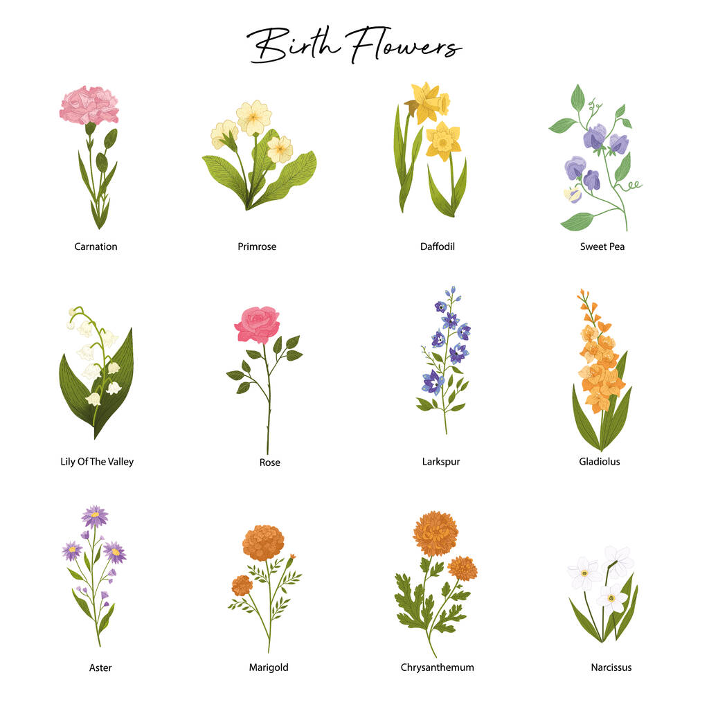 Personalised Birth Flower Print By No Ordinary Gift Notonthehighstreet Com