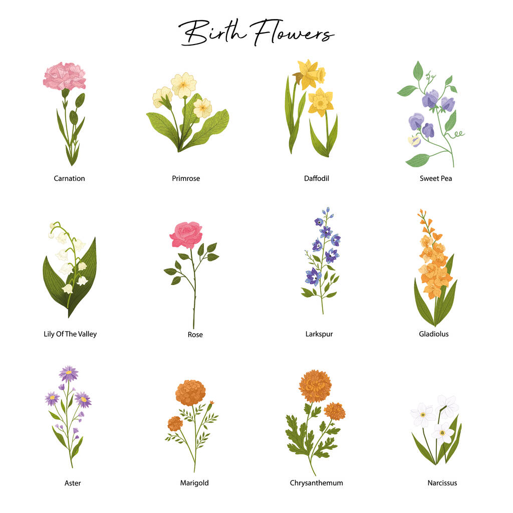 Personalised Birth Flower Print By No Ordinary Gift