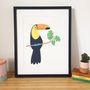 A3 Illustrated Toucan Print, thumbnail 1 of 2