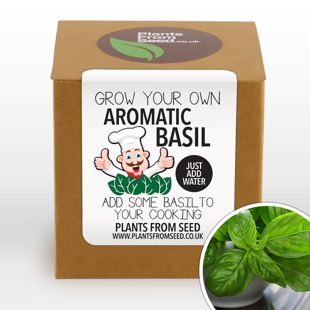 Complete Grow Your Own Basil Plant Kit By Plants From Seed
