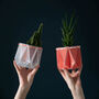 Origami Self Watering Eco Plant Pot: 10cm | Coral, thumbnail 5 of 8