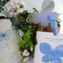 Plant A Butterfly Seed Paper Card, thumbnail 4 of 6