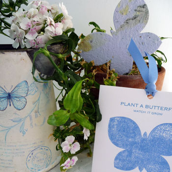 Plant A Butterfly Seed Paper Card, 4 of 6
