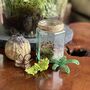 Terrarium Beaded Craft Kit, thumbnail 1 of 5