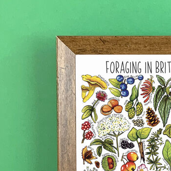 Foraging Plants Of Britain Wildlife Print, 4 of 7