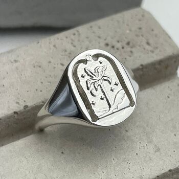 Sterling Silver Destiny Arch Signet Ring, 2 of 9