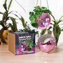 Colourful Disco Ball Hanging Planter, thumbnail 3 of 5