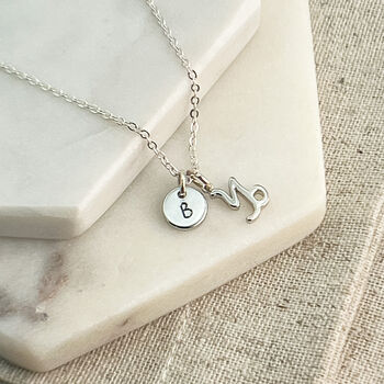 Capricorn Zodiac, Initial And Birthstone Necklace, 3 of 6