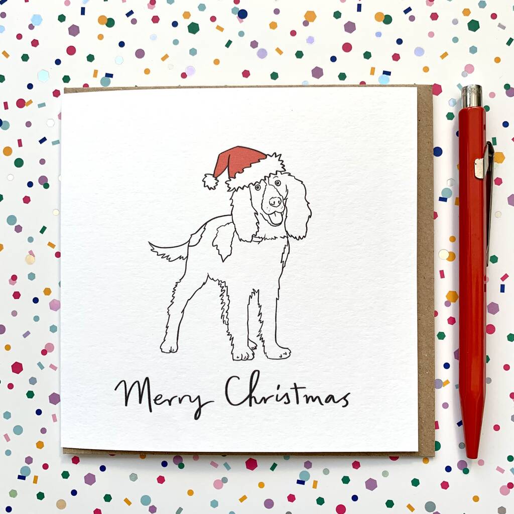 Personalised Springer Spaniel Christmas Card By Have a Gander