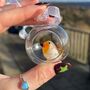 Handmade Open Glass Bauble With Tiny Robin, thumbnail 2 of 4