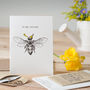'Ha Bee Birthday' Seed Card, thumbnail 1 of 1