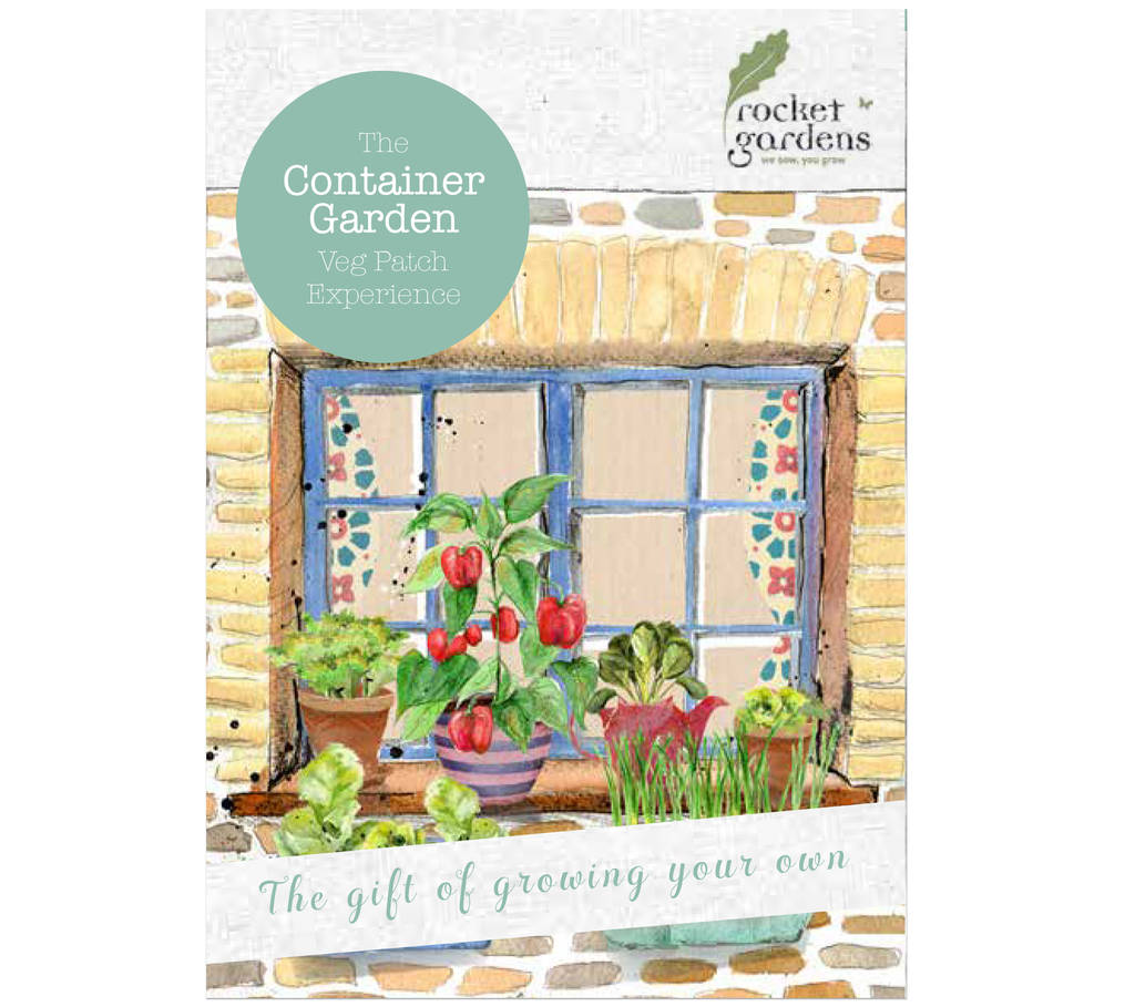 container garden veg patch experience gift voucher by rocket gardens