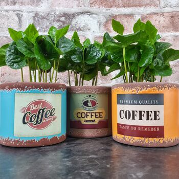 Retro Coffee Houseplant Pot Gift Surprise Plant, 10 of 10