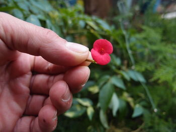 Sterling Silver Poppy Cufflinks. Handmade With Real Flowers, 5 of 8