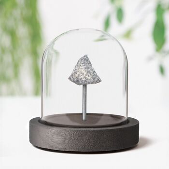 Oviraptor Dinosaur Eggshell Authentic Fossil Bell Jar, 2 of 3