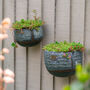 Myrtle Galvanised Zinc Set Of Two Wall Planters, thumbnail 6 of 6