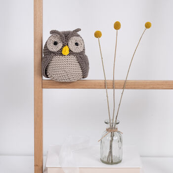 Minerva Owl Easy Knitting Kit, 2 of 10