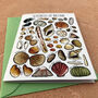 Seashells Of Britain Art Blank Greeting Card, thumbnail 9 of 12