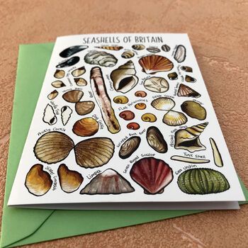 Seashells Of Britain Art Blank Greeting Card, 9 of 12