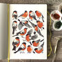Bullfinches Wildlife Watercolour Postcard, thumbnail 5 of 6