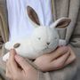 Easter Bunny Rabbit Plush Soft Toy, thumbnail 3 of 11