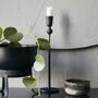 Candle Stand, Trivo, Black, thumbnail 7 of 8