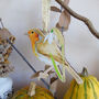 Robin And Snowdrop Wooden Hanging Decoration, thumbnail 5 of 11