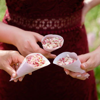 25 Biodegradable Wedding Petal Confetti Cones, 5 of 12