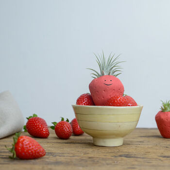 Strawberry Air Plant Holder Pot, 5 of 8