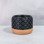 Carbon Blossom Planter, thumbnail 2 of 4