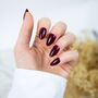 Loste Reusable Press On Nails Gift Set: Sally, thumbnail 2 of 4