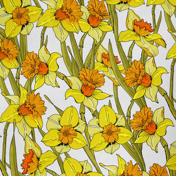 Daffodil Wrapping Paper Roll Or Folded, 3 of 3