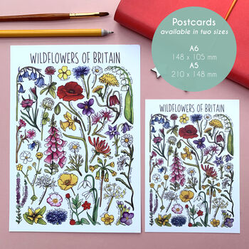 Wildflowers Of Britain Illustrated Postcard, 2 of 10