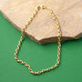 Small Belcher Chain Necklace In Gold Plate Or Silver, thumbnail 1 of 5