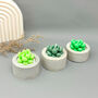 Green Succulent Candles In Handmade Concrete Pots, thumbnail 3 of 12
