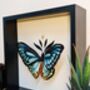 Realistic 3D Butterfly Embroidery, thumbnail 5 of 7