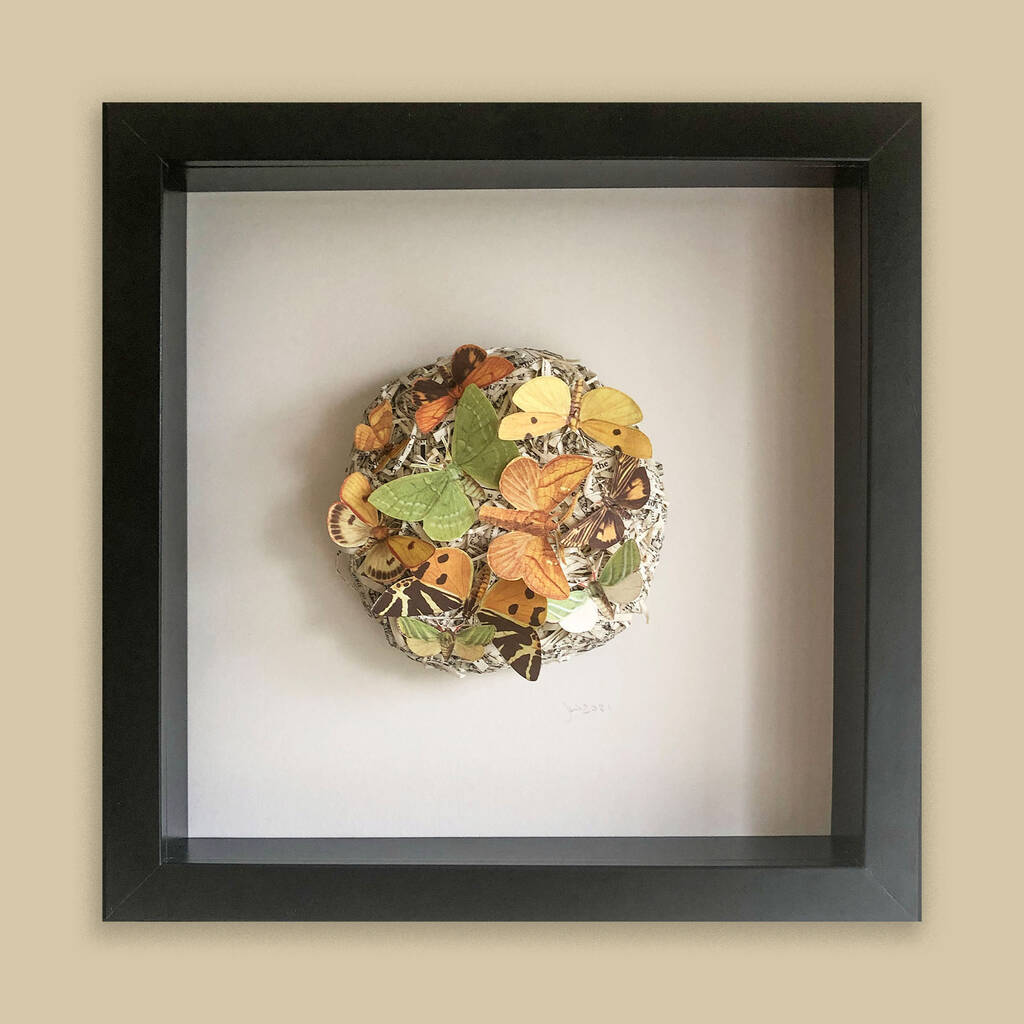 One Off 3D Framed Moth Ball Artwork By Jane Wilson | notonthehighstreet.com