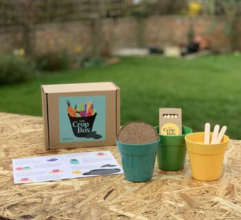 Grow Your Own Spinach Kit For Children, 2 of 4