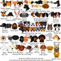 Personalised Dog Dad Dog Breed Keyring Gift, thumbnail 8 of 10