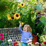 Kids Sunflower Seed Kit, Grow Your Own, Kids Party Bag, thumbnail 7 of 9