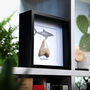 Authentic One Two' Megalodon Tooth Fossil Frame Wall Hanging Home Decoration, thumbnail 2 of 5
