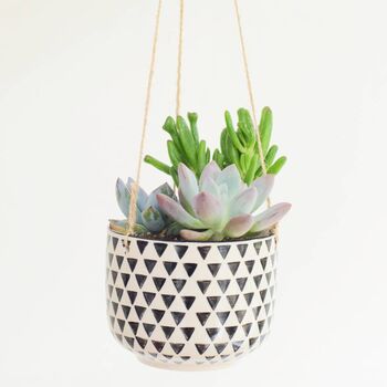 Hanging Black And White Indoor Planter Mothers Day Gift, 3 of 3