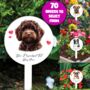 Personalised Dog Love Heart Memorial Grave Marker, thumbnail 1 of 12