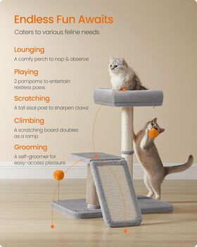 Cat Scratcher With Bed And Rotating Ramp For Small Cats, 3 of 7