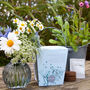 Grow Your Own Wildflower Bouquet And Vase Gift Set, thumbnail 1 of 12