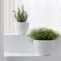 Pack Of Two Modern Planters Pots With Drainage Holes, thumbnail 6 of 12